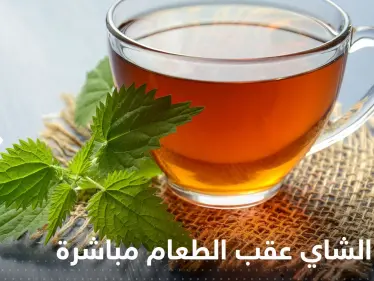 عند تناول الشاي بعد الأكل مباشرة.. ماذا يحدث لأجسامنا؟ - وكالة ستيب نيوز