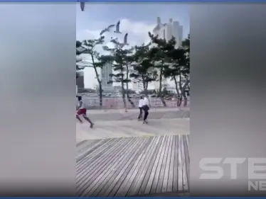 بالفيديو|| طيور النورس.. تلاحق رجلًا أمريكيًا وسط شارع عام وهو يركض بهلع منها - وكالة ستيب نيوز