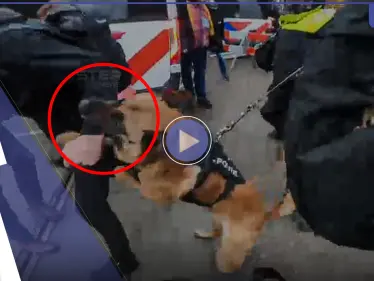 بالفيديو|| مظاهرات حاشدة في العاصمة الهولندية أمستردام ضد قرارٍ حكومي.. والكلاب البوليسية تهاجم المتظاهرين - وكالة ستيب نيوز