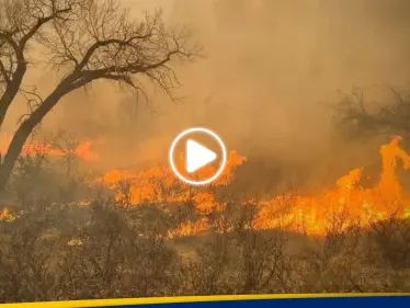 شاهد || حاكم تكساس يعلن "حالة الكارثة".. حرائق هائلة ومنشأة نووية بخطر - وكالة ستيب نيوز
