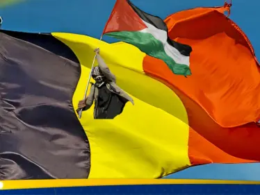 بسبب فلسطين.. وزير خارجية بلجيكيا يهدد بتعطيل مبادرات الائتلاف الحاكم - وكالة ستيب نيوز