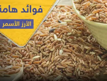 6 فوائد هامة لصحة الإنسان في الأرز الأسمر تميزه عن الأبيض - وكالة ستيب نيوز