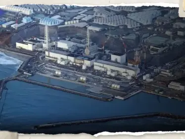 الصين تتخذ إجراءً ضد اليابان على خلفية تصريف مياه محطة فوكوشيما النووية - وكالة ستيب نيوز