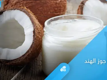 يمنع الشيخوخة ويحافظ على الترطيب.. إليك فوائد حليب جوز الهند للبشرة وطرق سهلة لاستخدامه في المنزل - وكالة ستيب نيوز