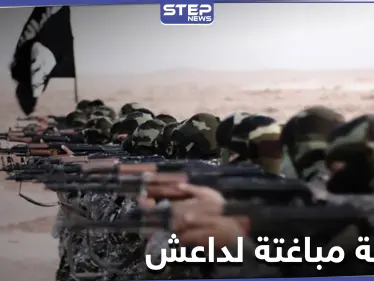 مستغلاً الضباب.. داعش يباغت قوات النظام السوري ويقطع طريق "دمشق دير الزور" مغتنماً أسلحة وذخائر - وكالة ستيب نيوز