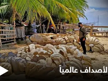 القبض على جامعي أصداف عملاقة تجاوز ثمنها 25 مليون دولار في الفلبين وهذه تفاصيل الحادثة - وكالة ستيب نيوز