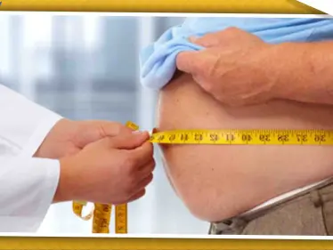 إذا كنت سمينًا.. هل تعلم أنك تتشارك بعض الجينات مع الدببة!! - وكالة ستيب نيوز