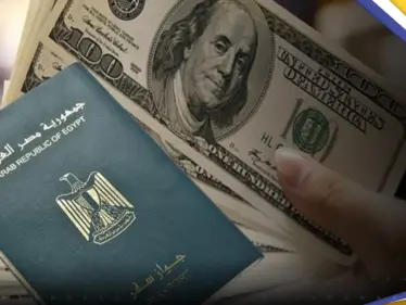 الحصول على الجنسية المصرية للأجانب أصبح أسهل بشروط مخففة - وكالة ستيب نيوز