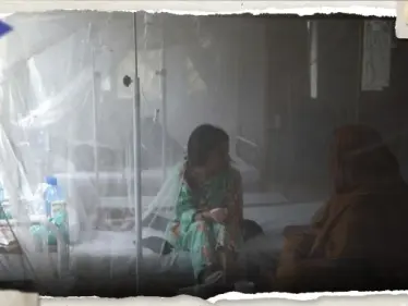 حمى الضنك ستهدد مناطق جديدة حول العالم خلال العقد الجاري.. الصحة العالمية تحذر - وكالة ستيب نيوز