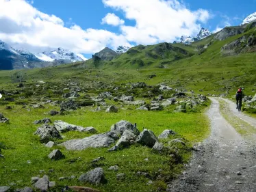 ذوبان جليد الألب يكشف حل لغز عمره قرابة 4 عقود - وكالة ستيب نيوز