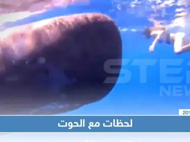 فتاة تسبح أمام الحوت في المحيط الهندي واصفة اللحظة أنها "لاتقدر بثمن" - وكالة ستيب نيوز