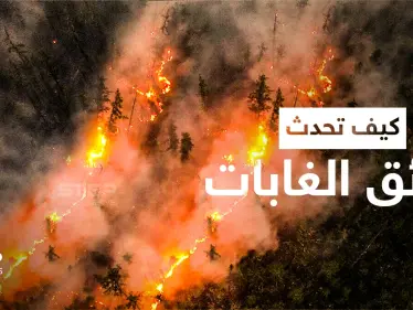 كيف تحدث حرائق الغابات ... تعرّف على عوامل انتشارها - وكالة ستيب نيوز