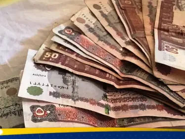 سعر الدولار مقابل الجنيه المصري في السوق السوداء.. مستمر في الانخفاض - وكالة ستيب نيوز