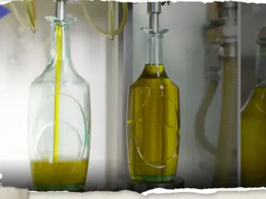 أرباح قياسية متوقعة من زيت الزيتون في دولة عربية - وكالة ستيب نيوز