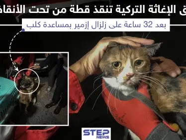 عقب 32 ساعة إنقاذ قطة من تحت أنقاض زلزال أزمير - وكالة ستيب نيوز