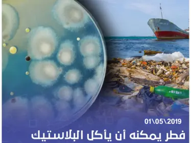 فطر يمكنه أن يأكل البلاستيك اكتشفه علماء في باكستان - وكالة ستيب نيوز