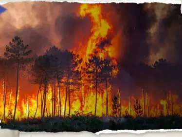 تعرف على أكبر 10 حرائق غابات في تاريخ العالم - وكالة ستيب نيوز