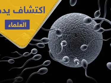 "بويضة المرأة هي التي تختار الحيوان المنوي".. اكتشاف يدهش العلماء - وكالة ستيب نيوز