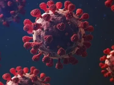 الفيروس الفيتنامي أكثر شراسة بحسب تقارير طبية ومنظمة الصحة العالمية تعتبره ليس جديداً - وكالة ستيب نيوز