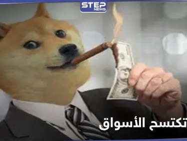 من عملة مشفرة مغمورة إلى اكتساح الأسواق العالمية.. عملة دوجكوين و"التغريدة السّر"! - وكالة ستيب نيوز