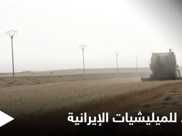 إما القبول أو المصادرة.. ميليشيات إيرانية تفرض على فلاحي دير الزور مقاسمة أرباح محاصيلهم - وكالة ستيب نيوز