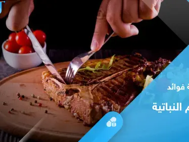 هل بدائل اللحوم النباتية صحية بالفعل.. إليك أهم المعلومات - وكالة ستيب نيوز