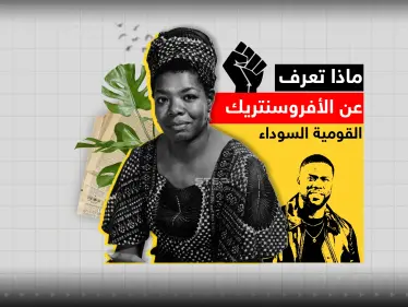 بعد اتهامها بتشجيع الأفارقة على احتلال دول عربية.. ماذا تعرف عن حركة "الأفروسنتريك" ؟ - وكالة ستيب نيوز