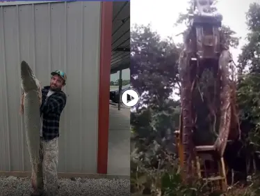 ثعبان عملاق بطول 10 أمتار يرعب سكان جزيرة إندونيسية.. وأمريكي يصطاد حيوان مائي نادر يعود لـ100 مليون عام (فيديو وصور) - وكالة ستيب نيوز