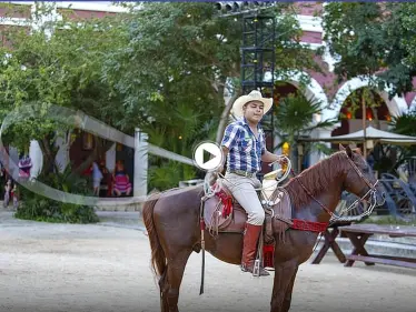 بالفيديو|| لحظة مرعبة توثق إصابة 10 متفرجين في مسابقة رعاة البقر بالمكسيك بعد مهاجمة ثور هائج لهم - وكالة ستيب نيوز