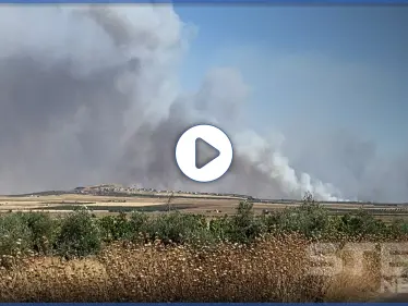 بالفيديو|| الخسائر بالمليارات.. النظام السوري يطيح بالثروة الزراعية جنوب إدلب وشمال حماة عبر إحراق الأراضي - وكالة ستيب نيوز