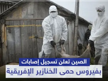 بعد وباء كورونا.. الصين تعلن تسجيل إصابات بفيروس "حمى الخنازير الإفريقية" القاتل - وكالة ستيب نيوز