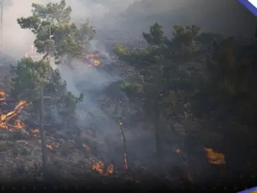 شاهد|| حرائق غابات اليونان تستعر.. قتيلان وعمليات إجلاء واسعة - وكالة ستيب نيوز