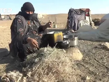 مخيم وادي البقر بريف ديرالزور .. أكثر من ٨٥ عائلة يتذوقون ويلات النزوح - وكالة ستيب نيوز