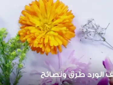تجفيف الورد طرق ونصائح وبعض الفوائد - وكالة ستيب نيوز