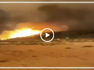 بالفيديو|| حرائق الغابات تحاصر الاستراليين على الشواطئ.. والموجة هي الأسوأ بتاريخ البلاد - وكالة ستيب نيوز