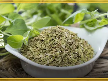 الأوريغانو المكوّن السري للبيتزا .. يمتاز بخواص غذائية كثيرة إضافةً إلى طعمه اللذيذ - وكالة ستيب نيوز