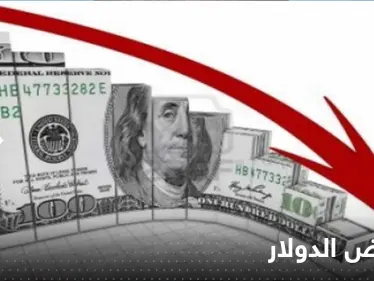 الدولار ينخفض بحدة مقابل العملات الأجنبية.. وخبير يكشف توقعاته - وكالة ستيب نيوز
