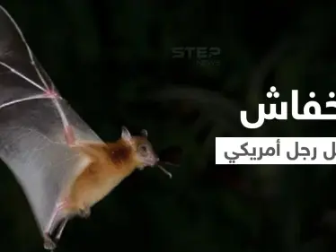 بعد اكتشاف مستعمرة خفافيش في منزله.. رجل أمريكي يقتله داء السعار - وكالة ستيب نيوز