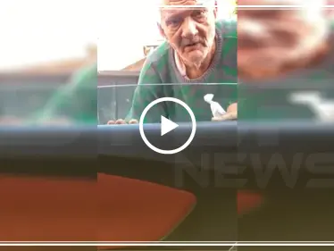 بعد تخلي أولاده عنه.. مسن لبناني يعتاش على القمامة (فيديو) - وكالة ستيب نيوز