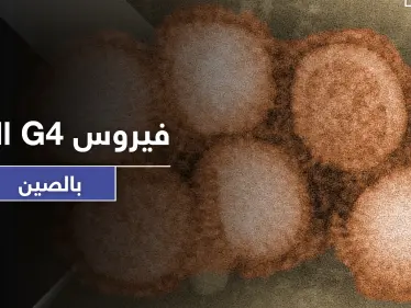 تحذيرات من جائحة عالمية جديدة قادمة من الصين.. اكتشاف فيروس جديد قاتل - وكالة ستيب نيوز