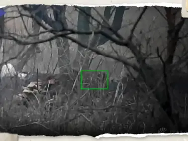 بالفيديو|| لحظة إصابة "قناص الجمجمة" الروسي لهدفه بعد انتظاره 4 أيام متتالية - وكالة ستيب نيوز