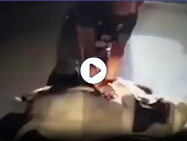 بالفيديو || عامل إنقاذ يُنعش قلب فيل صغير بعد وفاته بحادث في تايلاند - وكالة ستيب نيوز