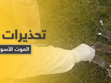 طاعون دبلي.. الصين تطلق تحذيراً من المستوى 3 حول جائحة جديدة قد تجتاج العالم - وكالة ستيب نيوز