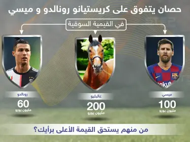 حصان يتفوق على كريستيانو رونالدو وميسي في القيمة السوقية .. من منهم يستحق القيمة الأعلى برأيك ؟ - وكالة ستيب نيوز