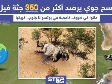 موت 350 فيل في ظروف غامضة بجنوب أفريقيا - وكالة ستيب نيوز
