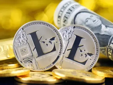 ما هي عملة لايتكوين وكيف يمكن استثمارها وبماذا تختلف عن البيتكوين؟ - وكالة ستيب نيوز