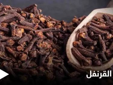 تعرف على فوائد القرنفل لأمراض الحنجرة وآلام الأسنان - وكالة ستيب نيوز