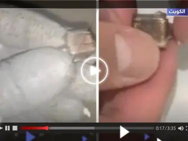 شاب كويتي يعثر على خاتم في البحر.. وعندما فتحه كانت المفاجأة (فيديو) - وكالة ستيب نيوز