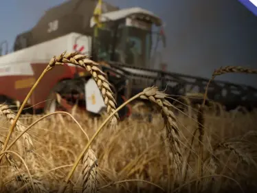 جديد اتفاق الحبوب.. روسيا تعلن أمراً مهماً عنها و5 دول تهدد - وكالة ستيب نيوز