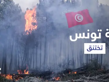 بالفيديو|| رئة تونس تختنق.. إعصار ناري يثير الفزع والسلطات تكابد منعاً لتكرار كارثة الجزائر (صور) - وكالة ستيب نيوز